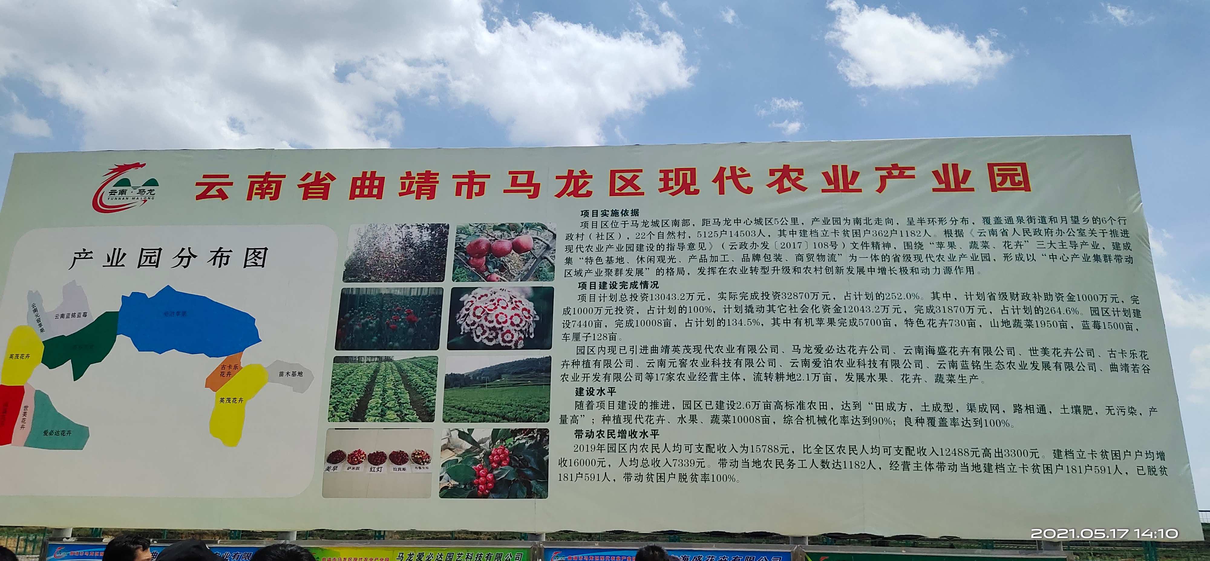 马龙区现代农业园