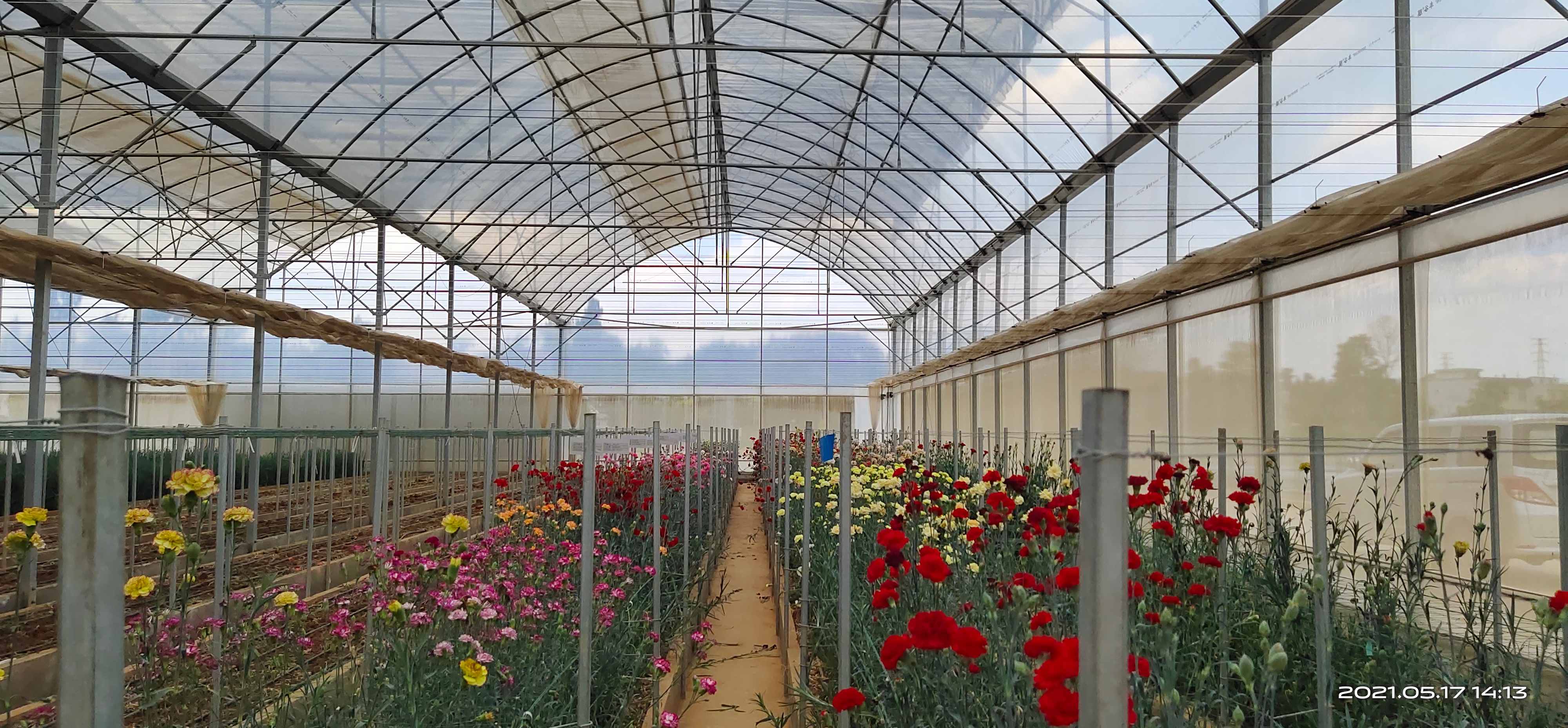 微信图片_20210519155320