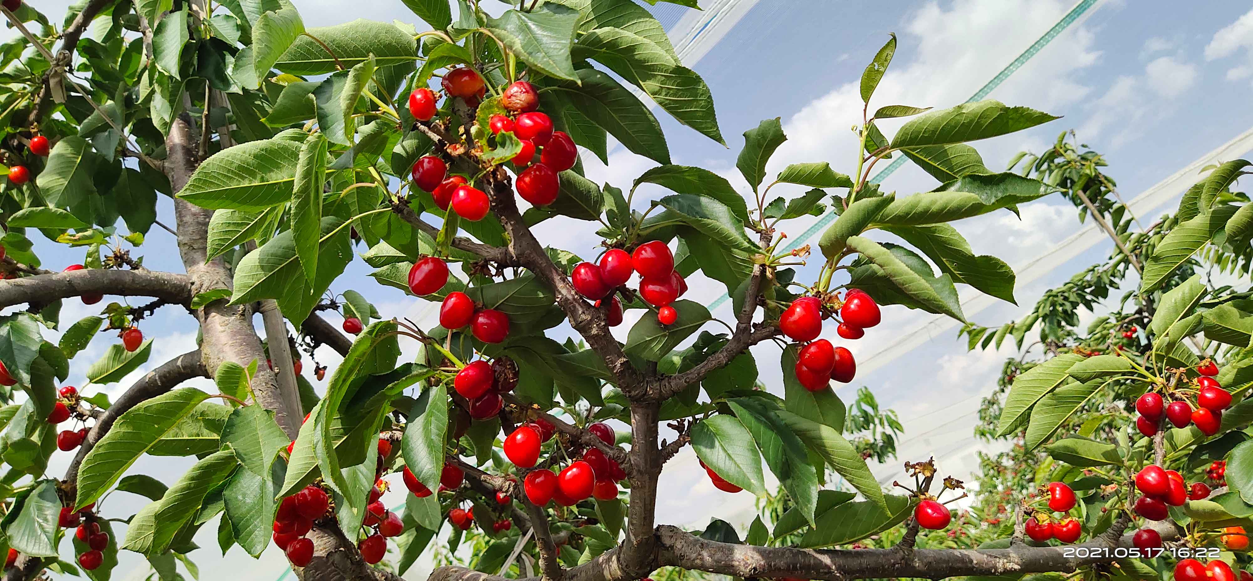 微信图片_20210519160317