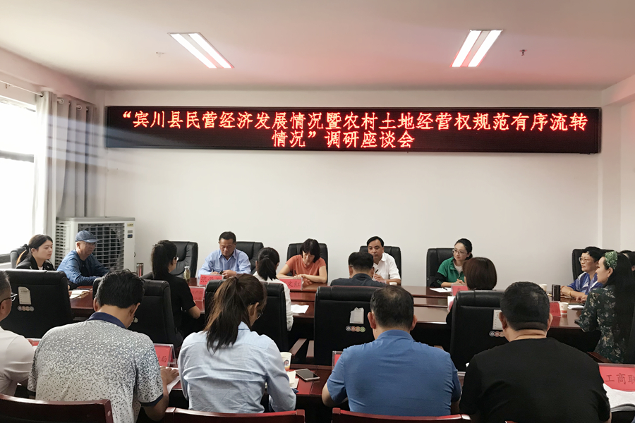 宾川县调研座谈会现场