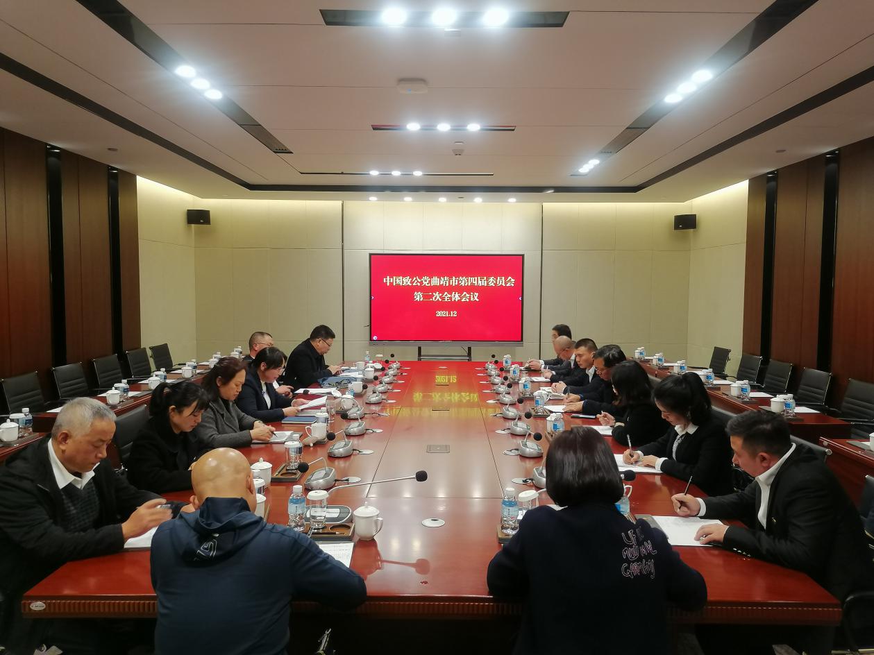 第二次全体会议
