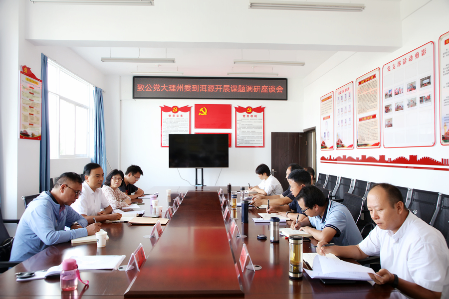 洱源调研座谈会