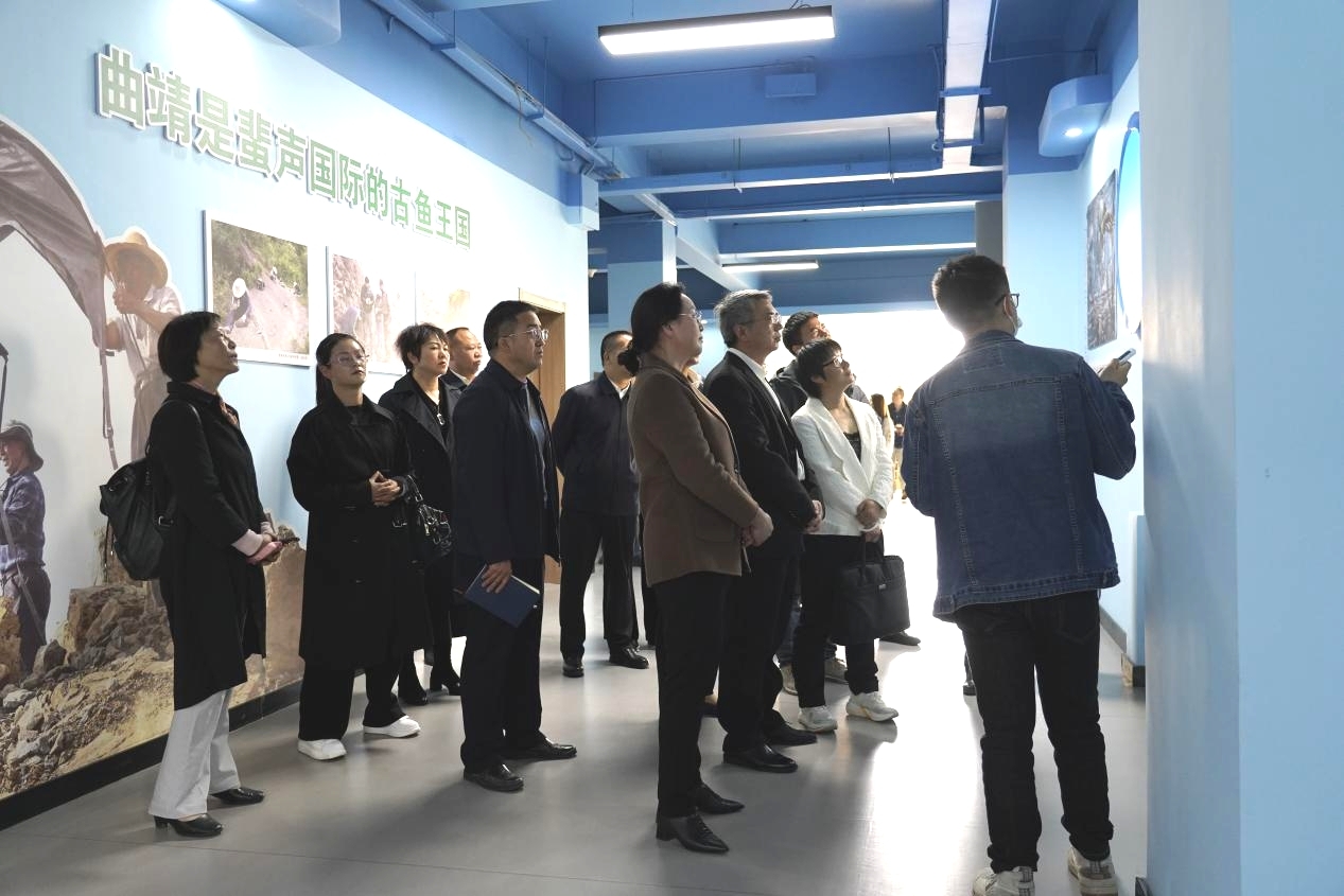 图片3-参观曲靖师范学院古鱼王国博物院