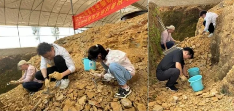 微信截图_20240509155328