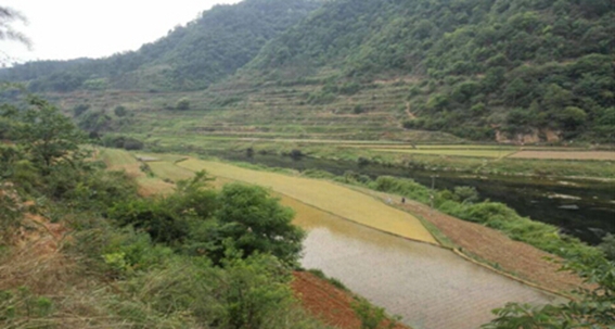  崎岖的山路，陡峭的山崖，艰难的生活环境