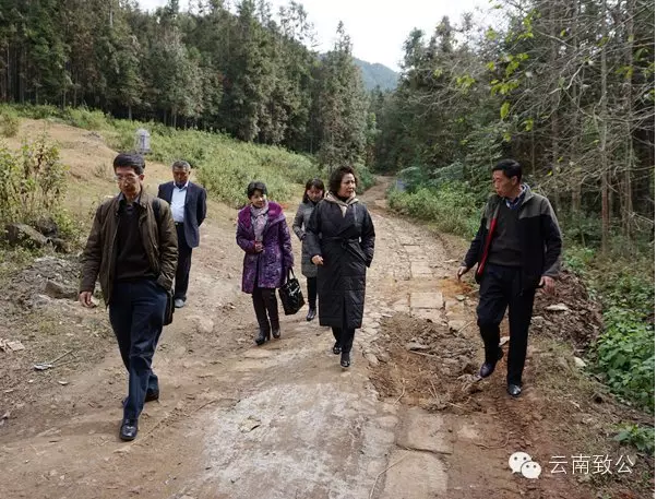 李羚在腾冲考察